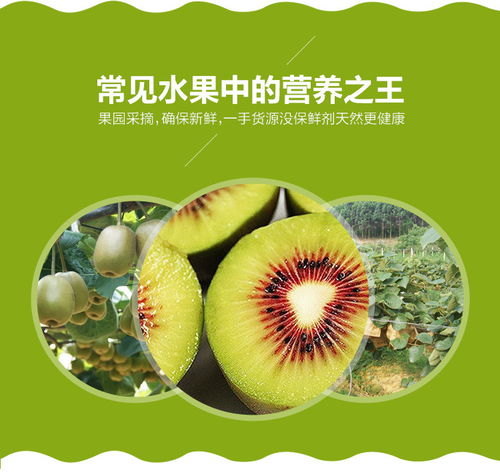 浙江上虞章鎮紅心獼猴桃 綠色健康的江南珍果